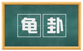 龟卦