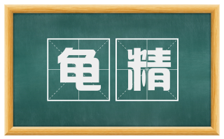 龟精