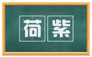 荷紫