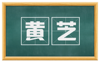 黄芝