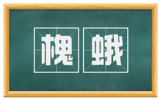 槐蛾