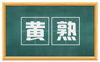 黄熟