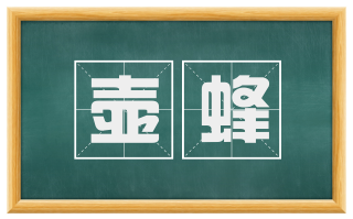 壶蜂