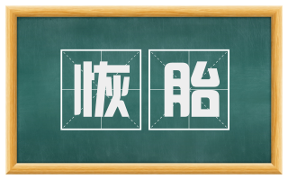恢胎