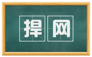 捍网
