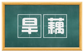 旱藕