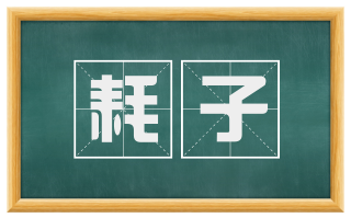耗子