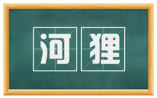 河狸