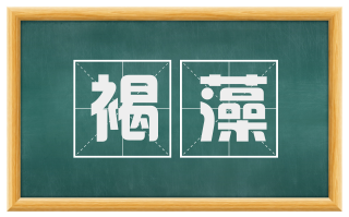 褐藻