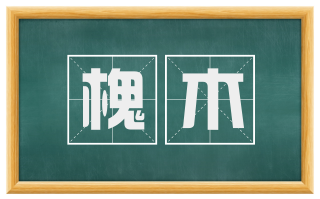 槐木