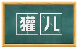 獾儿