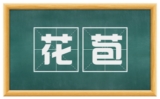 花苞