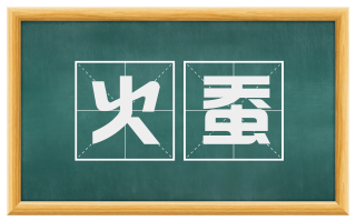 火蚕
