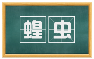 蝗虫