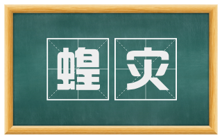 蝗灾