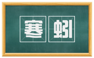 寒蚓