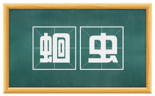 蛔虫