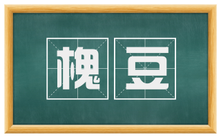 槐豆