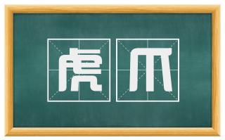 虎爪