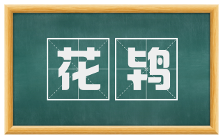 花鸨
