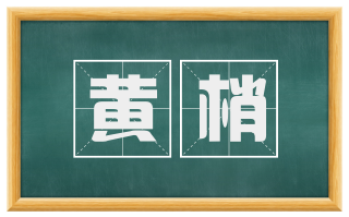 黄梢