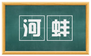 河蚌