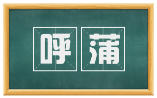 呼蒲