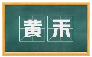 黄禾