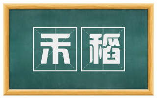禾稻