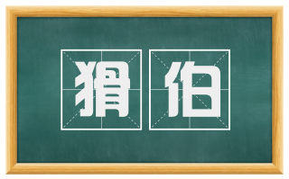 猾伯