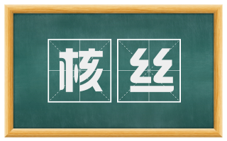 核丝