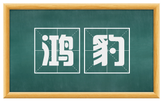 鸿豹