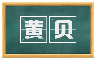 黄贝