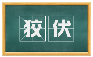 狡伏