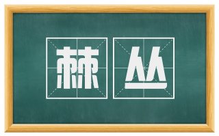 棘丛