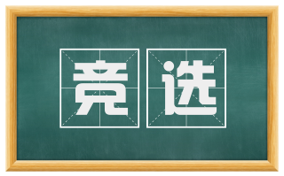 竞选