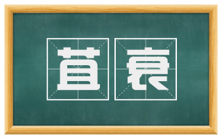 苴衰