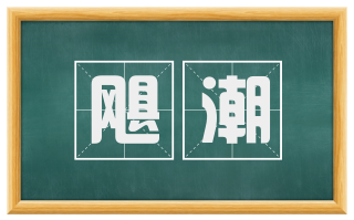 飓潮