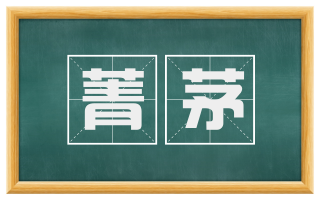 菁茅