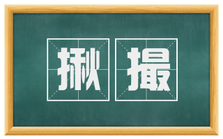 揪撮