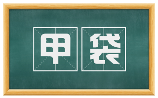 甲袋