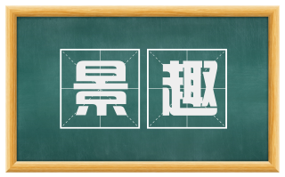 景趣