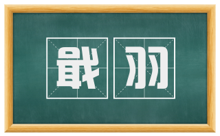戢羽