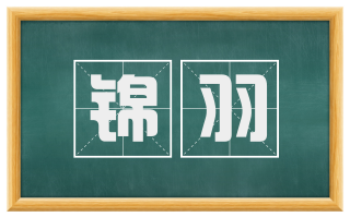 锦羽