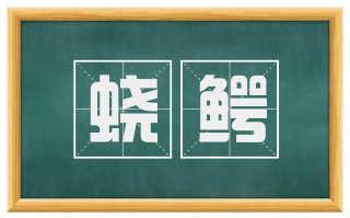 蛟鳄
