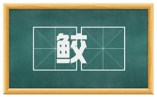 鲛瞂