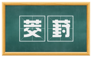茭葑