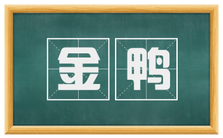 金鸭
