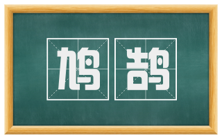 鸠鹄