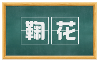 鞠花